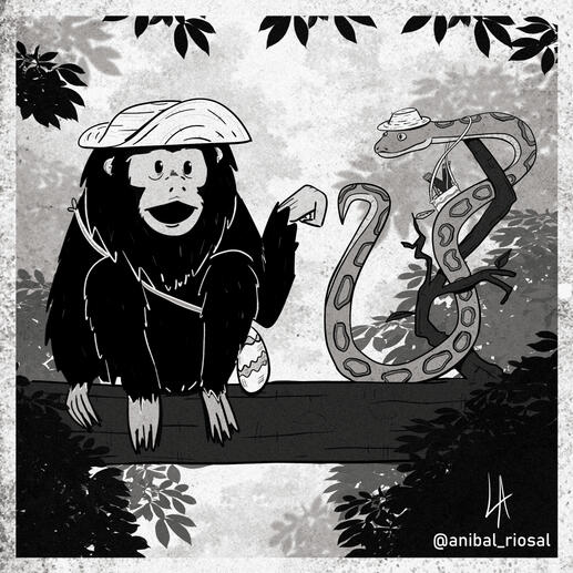 Animal Illustartion